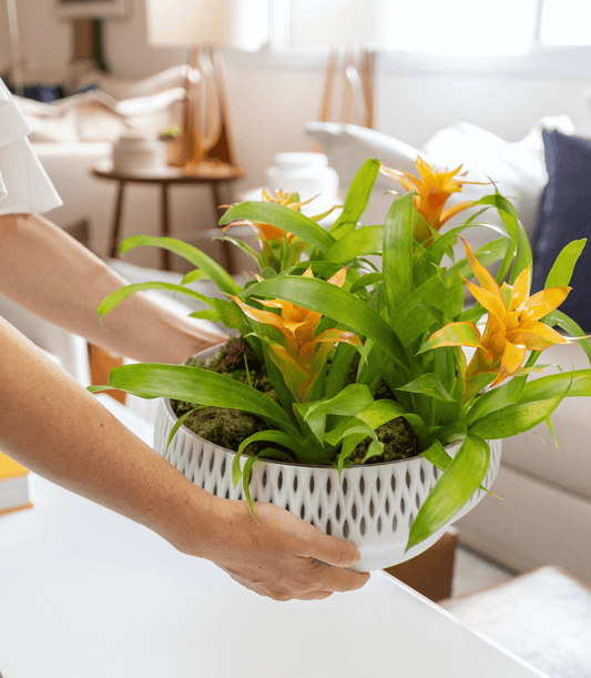Produção de Ambientes, saiba o quanto ela pode impactar na sua vida!