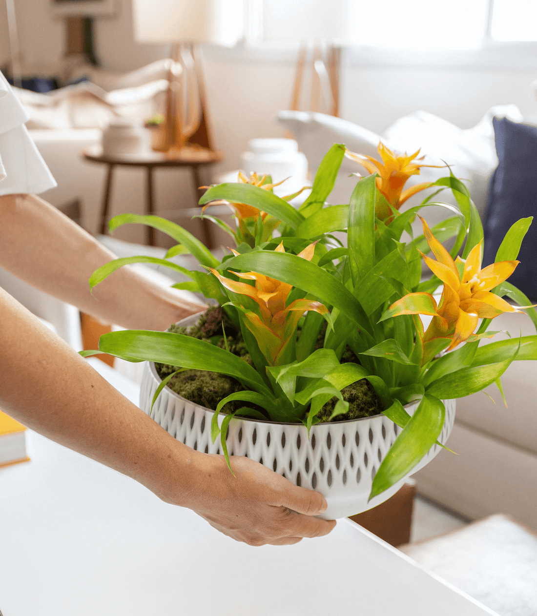 Produção de Ambientes, saiba o quanto ela pode impactar na sua vida!